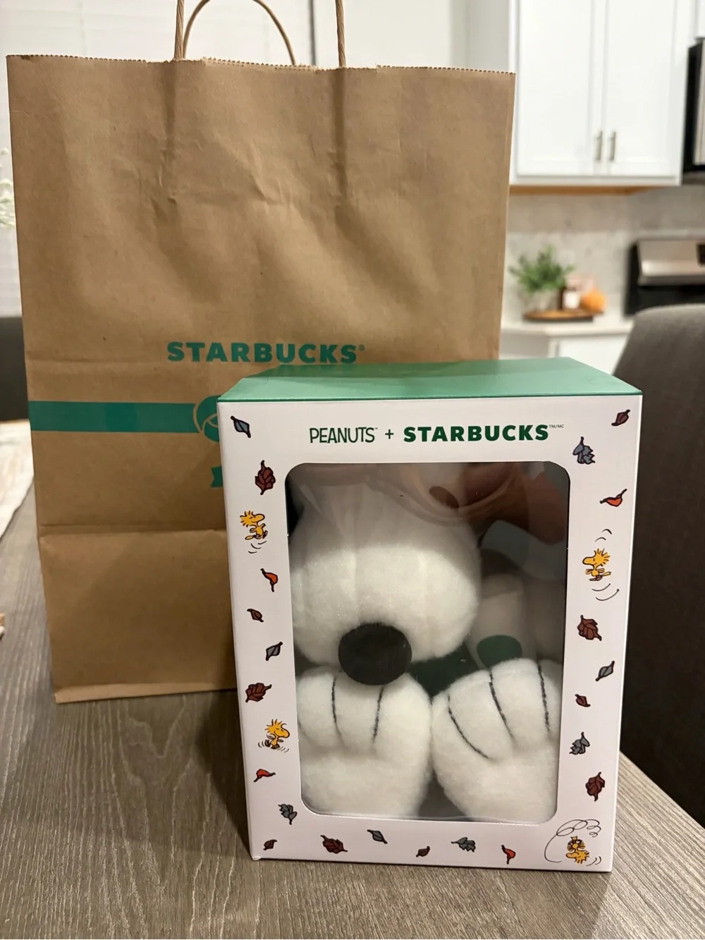 Starbucks Peanuts White Snoopy Plush with Green Accent